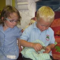 child holding a baby chick