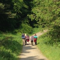 children walking down a trail