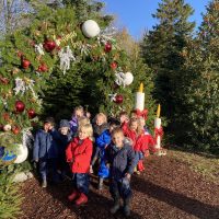 children outside near Christmas trees